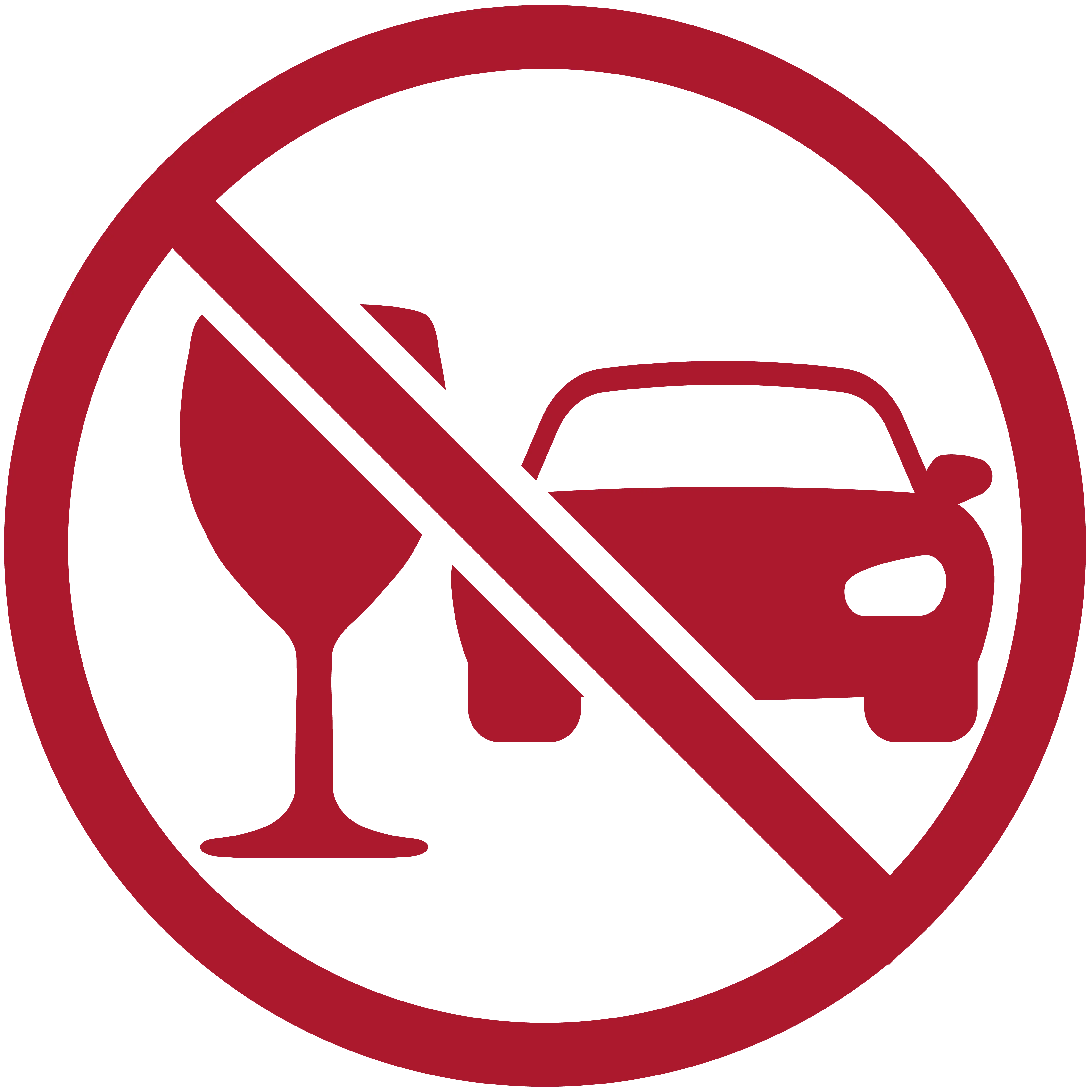 Drink Responsibly Drive Responsibly Icon